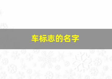 车标志的名字