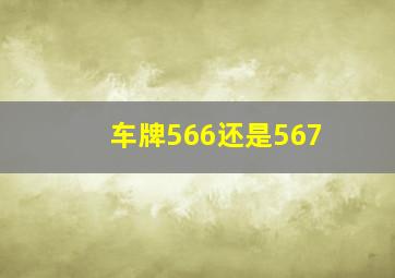 车牌566还是567