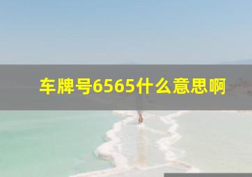 车牌号6565什么意思啊