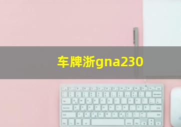 车牌浙gna230