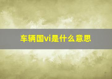 车辆国vi是什么意思