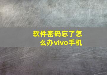 软件密码忘了怎么办vivo手机