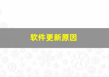 软件更新原因