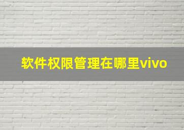 软件权限管理在哪里vivo