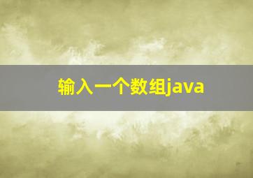 输入一个数组java