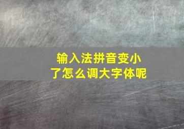 输入法拼音变小了怎么调大字体呢