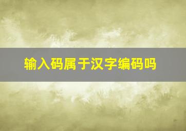 输入码属于汉字编码吗