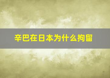 辛巴在日本为什么拘留