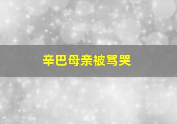 辛巴母亲被骂哭