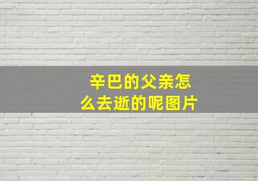 辛巴的父亲怎么去逝的呢图片