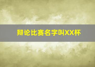 辩论比赛名字叫XX杯