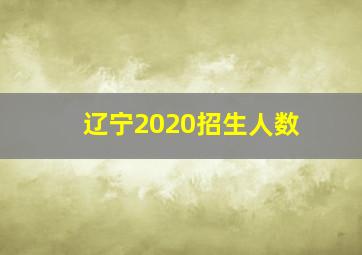 辽宁2020招生人数