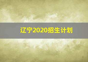 辽宁2020招生计划