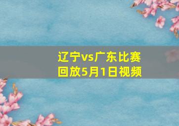 辽宁vs广东比赛回放5月1日视频