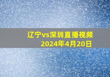 辽宁vs深圳直播视频2024年4月20日