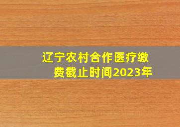 辽宁农村合作医疗缴费截止时间2023年