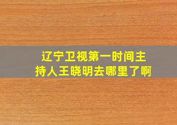 辽宁卫视第一时间主持人王晓明去哪里了啊