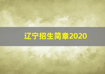 辽宁招生简章2020