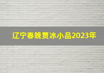 辽宁春晚贾冰小品2023年