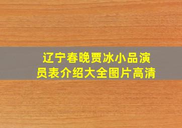 辽宁春晚贾冰小品演员表介绍大全图片高清