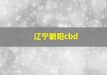 辽宁朝阳cbd