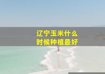 辽宁玉米什么时候种植最好