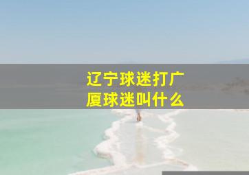 辽宁球迷打广厦球迷叫什么