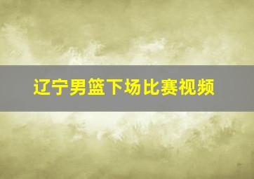 辽宁男篮下场比赛视频