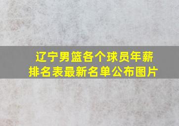 辽宁男篮各个球员年薪排名表最新名单公布图片