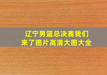 辽宁男篮总决赛我们来了图片高清大图大全