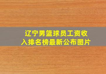 辽宁男篮球员工资收入排名榜最新公布图片