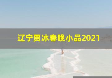 辽宁贾冰春晚小品2021