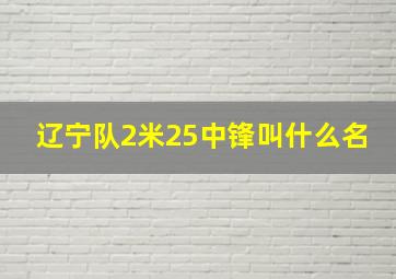 辽宁队2米25中锋叫什么名