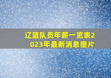 辽篮队员年薪一览表2023年最新消息图片