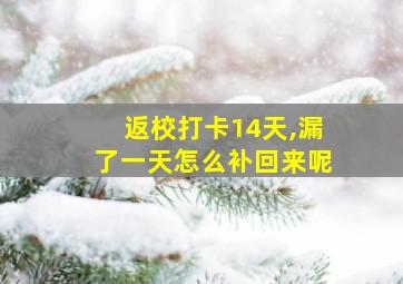 返校打卡14天,漏了一天怎么补回来呢