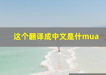 这个翻译成中文是什mua