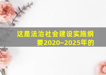 这是法治社会建设实施纲要2020~2025年的