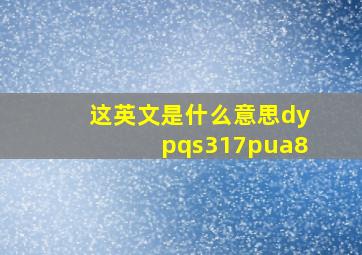 这英文是什么意思dypqs317pua8