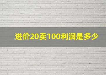 进价20卖100利润是多少