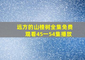 远方的山楂树全集免费观看45一54集播放