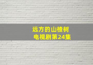 远方的山楂树电视剧第24集