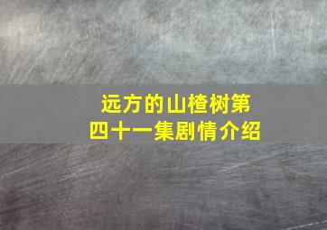 远方的山楂树第四十一集剧情介绍