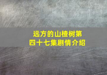 远方的山楂树第四十七集剧情介绍