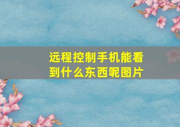 远程控制手机能看到什么东西呢图片