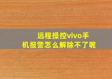 远程操控vivo手机报警怎么解除不了呢