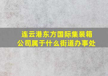 连云港东方国际集装箱公司属于什么街道办事处