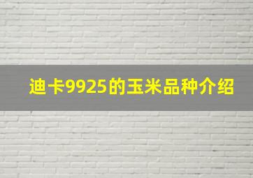 迪卡9925的玉米品种介绍