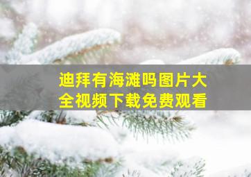 迪拜有海滩吗图片大全视频下载免费观看