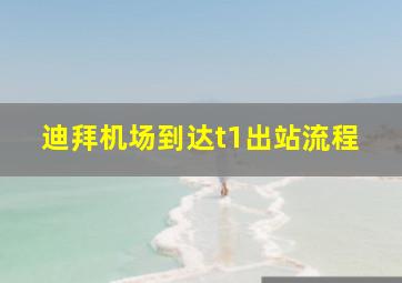 迪拜机场到达t1出站流程