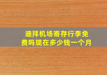 迪拜机场寄存行李免费吗现在多少钱一个月